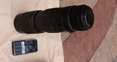 yashuca_zoom_1.jpg